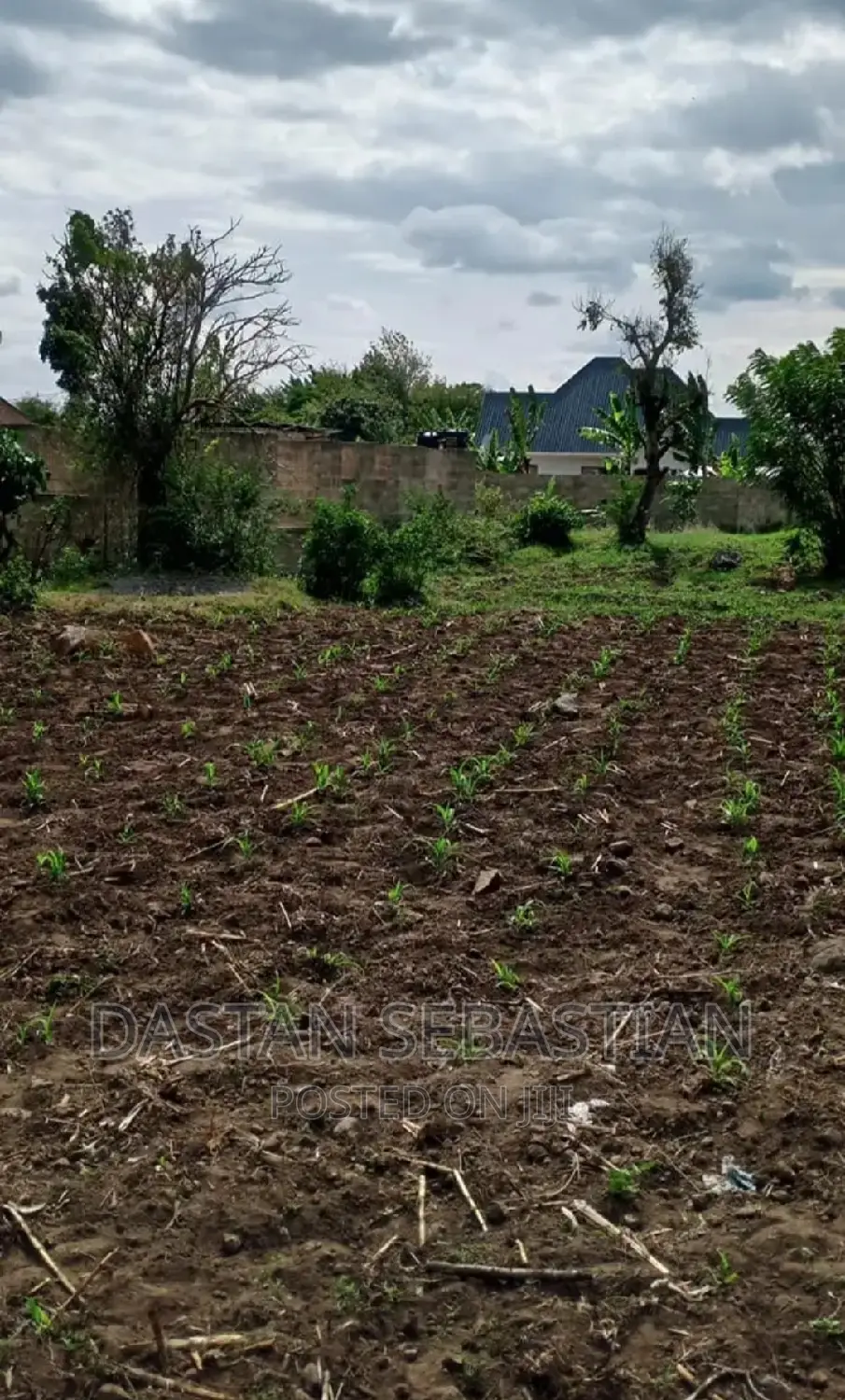 Viwanja Arusha Na Kilimanjaroo in Arusha
