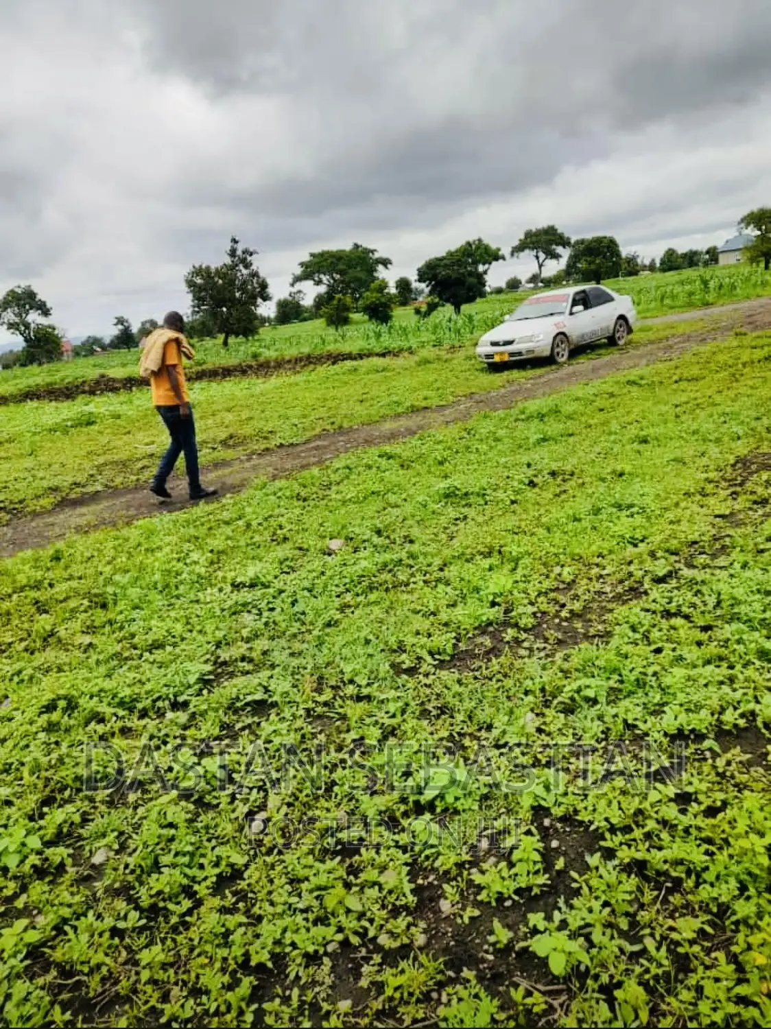 Plot for Sale Arusha and Kilimanjaro in Arusha