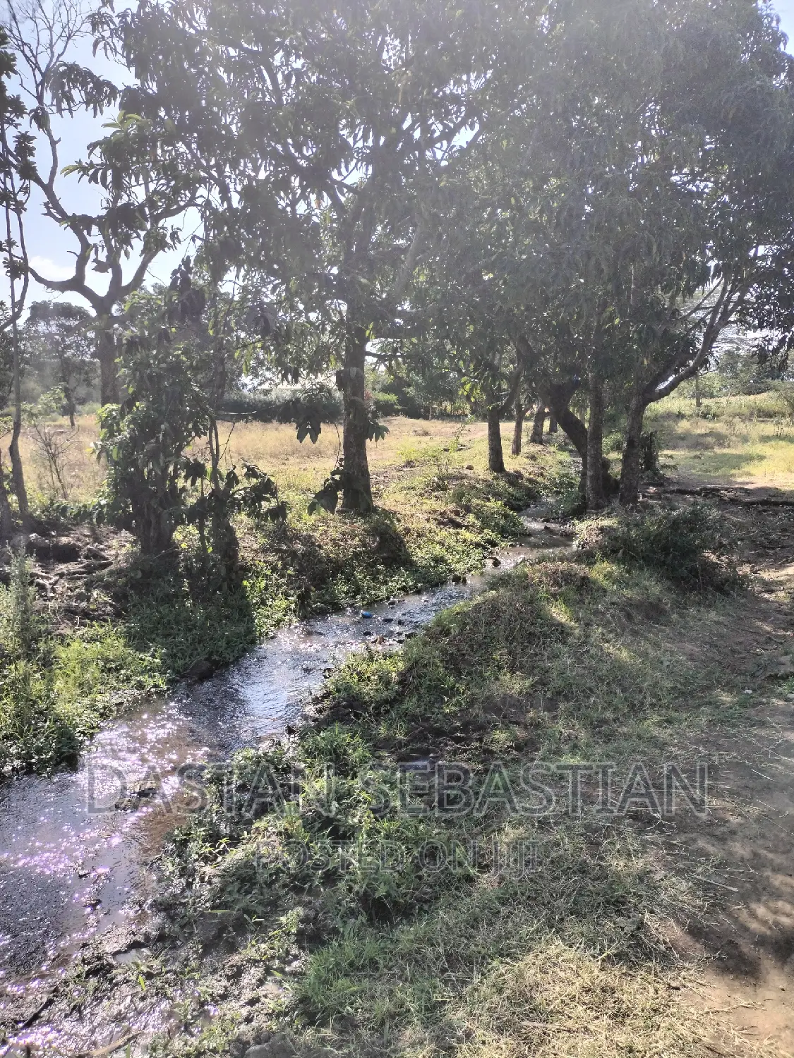 Farms and Land for Sale Arusha and Kilimanjaro in Arusha