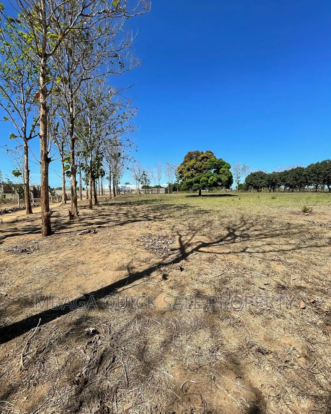 Plot for Sale at Bagamoyo Rd Mapinga in Bago