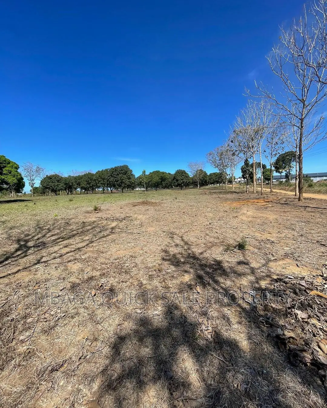 Plot for Sale at Bagamoyo Rd Mapinga in Bago