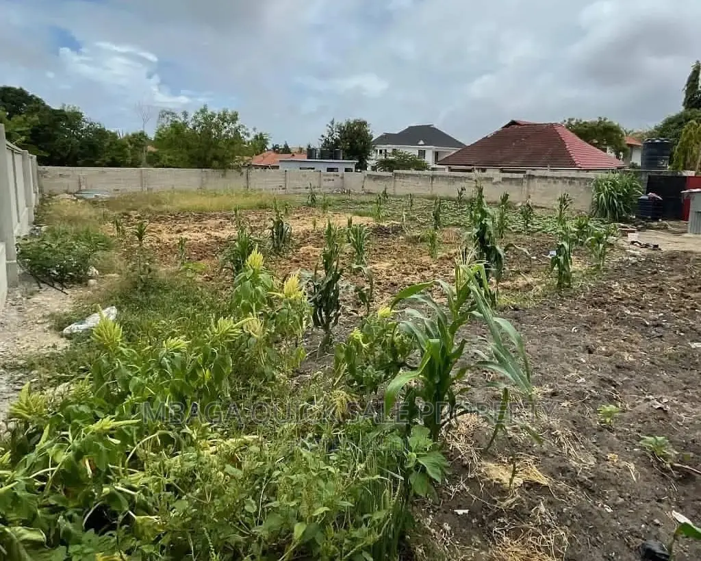 Plot for Sale at Mbezi Beach Salasala in Mbezi Beach