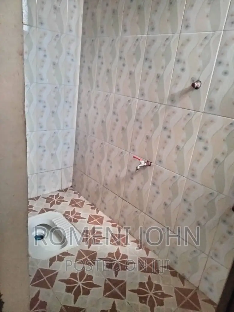 2bdrm Apartment in Tanzania Dsm Ukonga, Ilala for rent in Ilala