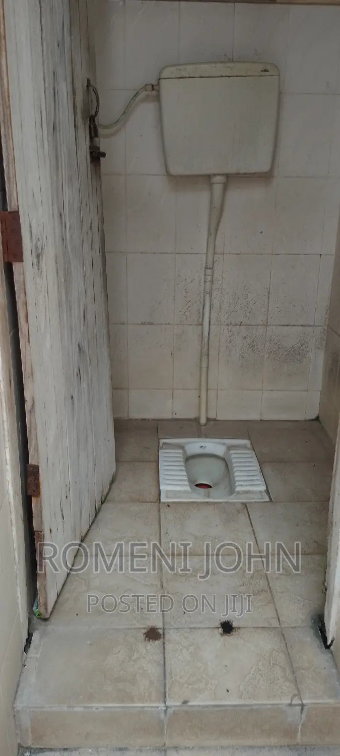 1bdrm Apartment in Tanzania Dsm Ukonga, Ilala for rent in Ilala