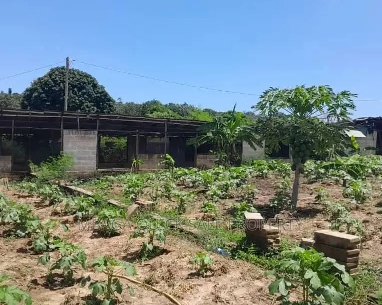 Eneo Linauzwa Bagamoyo Road Mapinga in Zinga