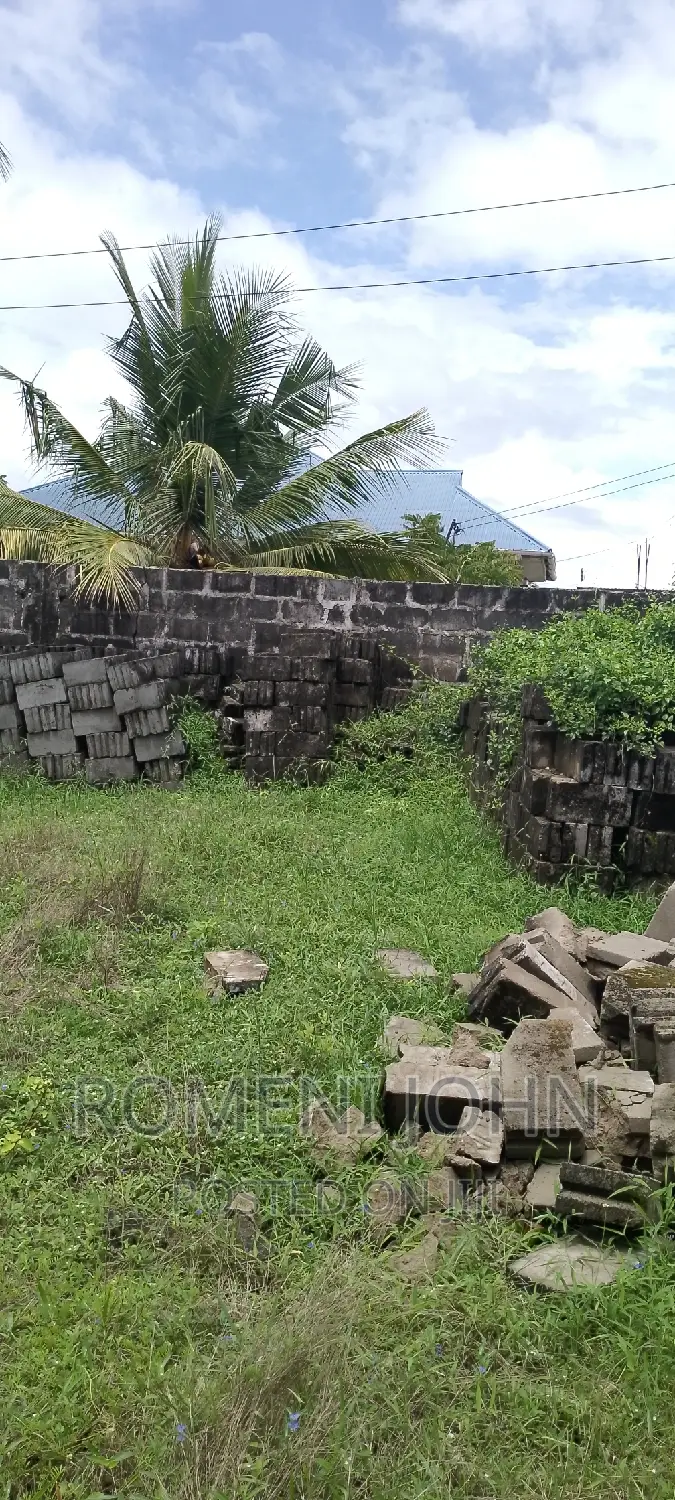 Eneo La Kibiashara Na Makazi Linauzwa Ml 16.5 Majohe Rada. in Ilala