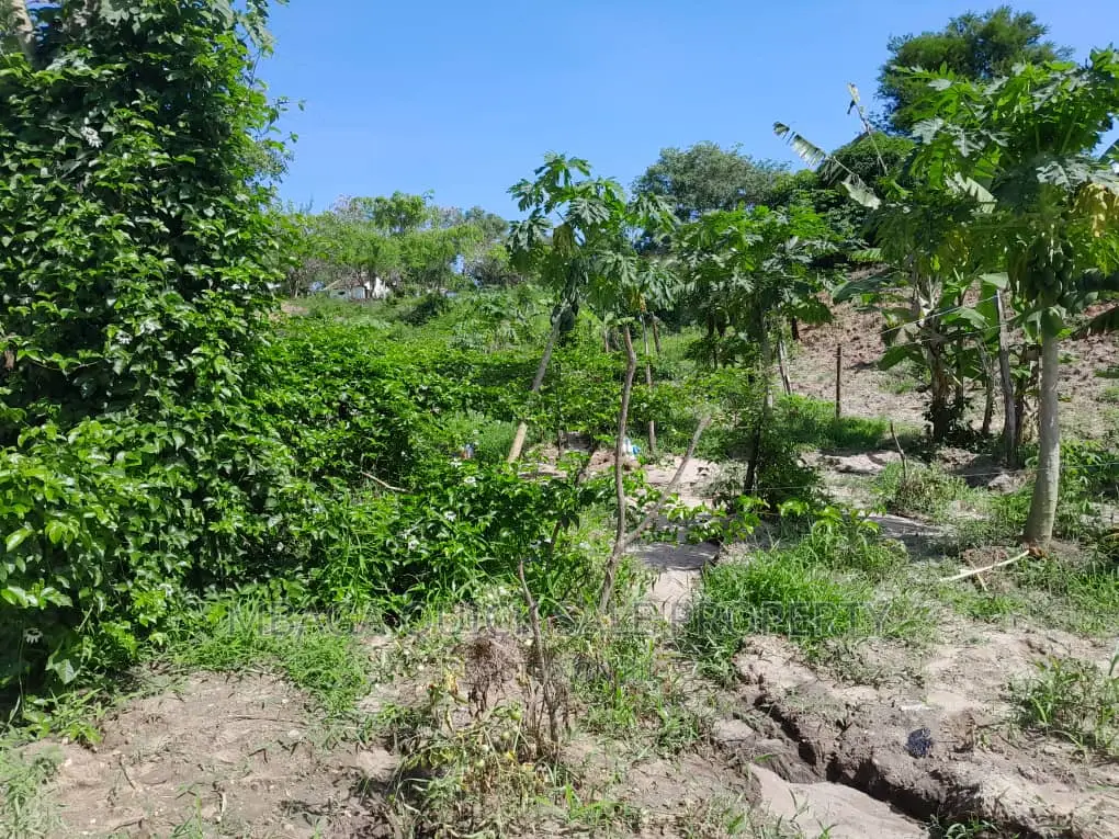 Farm for Sale at Kibamba Kibwerege in Kibamba