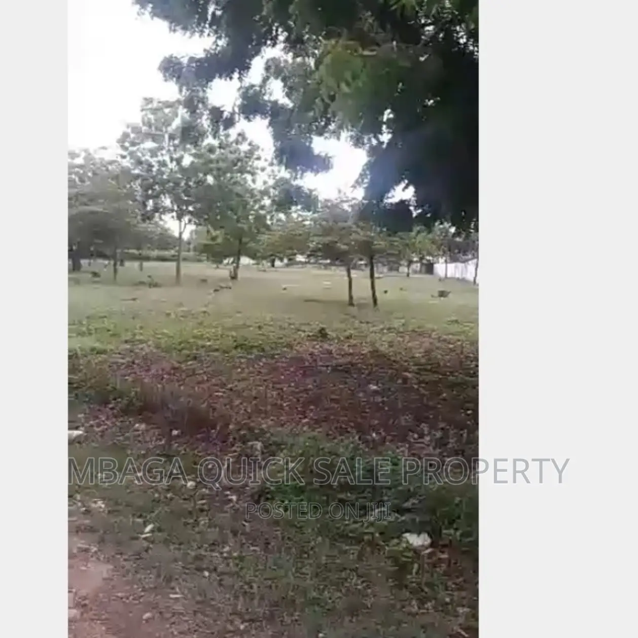 Beach Plot for Sale at Msasani Beach in Msasani