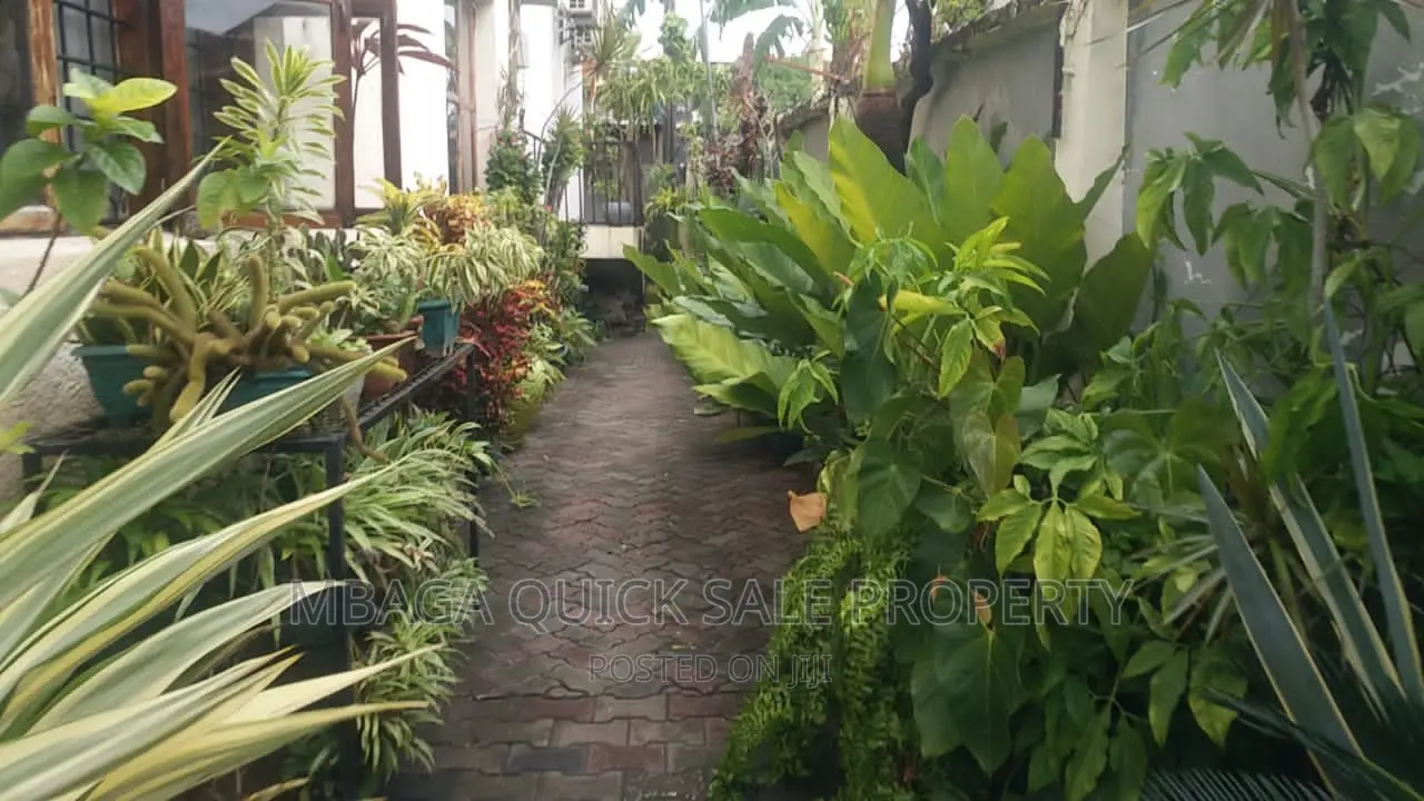 Furnished 1bdrm House in Mikocheni for rent in Mikocheni