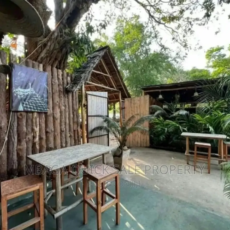 Bar and Restaurants for Rent Near Coco Beach Oyster Bay in Oyster Bay