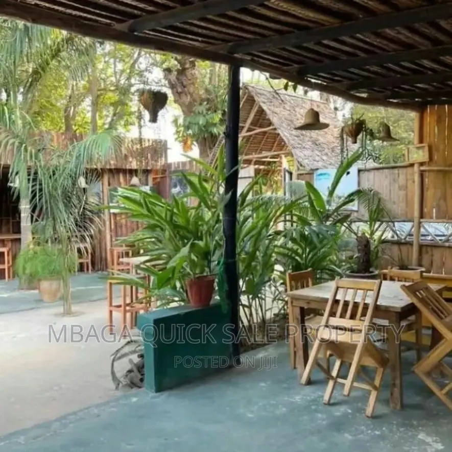Bar and Restaurants for Rent Near Coco Beach Oyster Bay in Oyster Bay