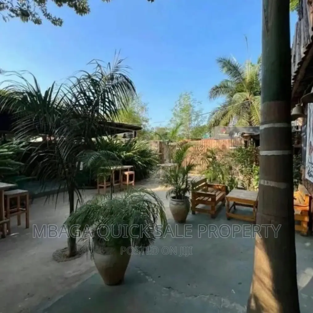 Bar and Restaurants for Rent Near Coco Beach Oyster Bay in Oyster Bay