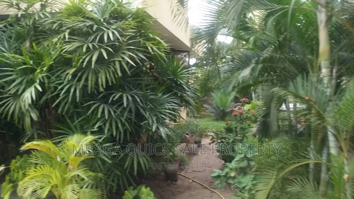 1bdrm House in Mikocheni for rent in Mikocheni