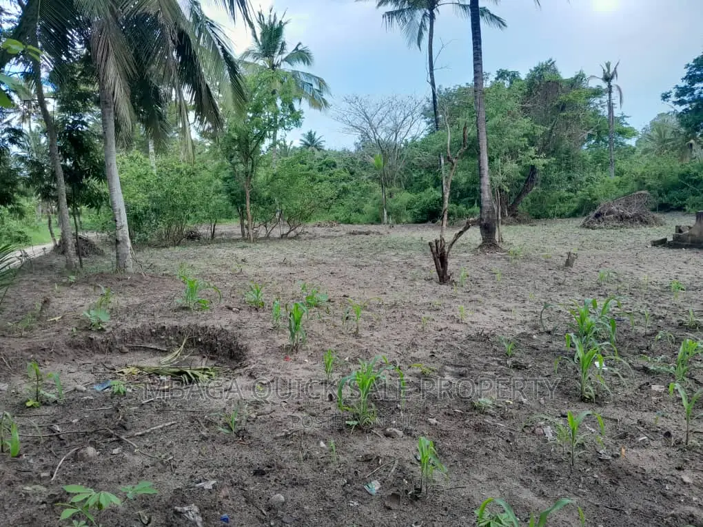 Farm for Sale at Visiga Madafu  in Visiga