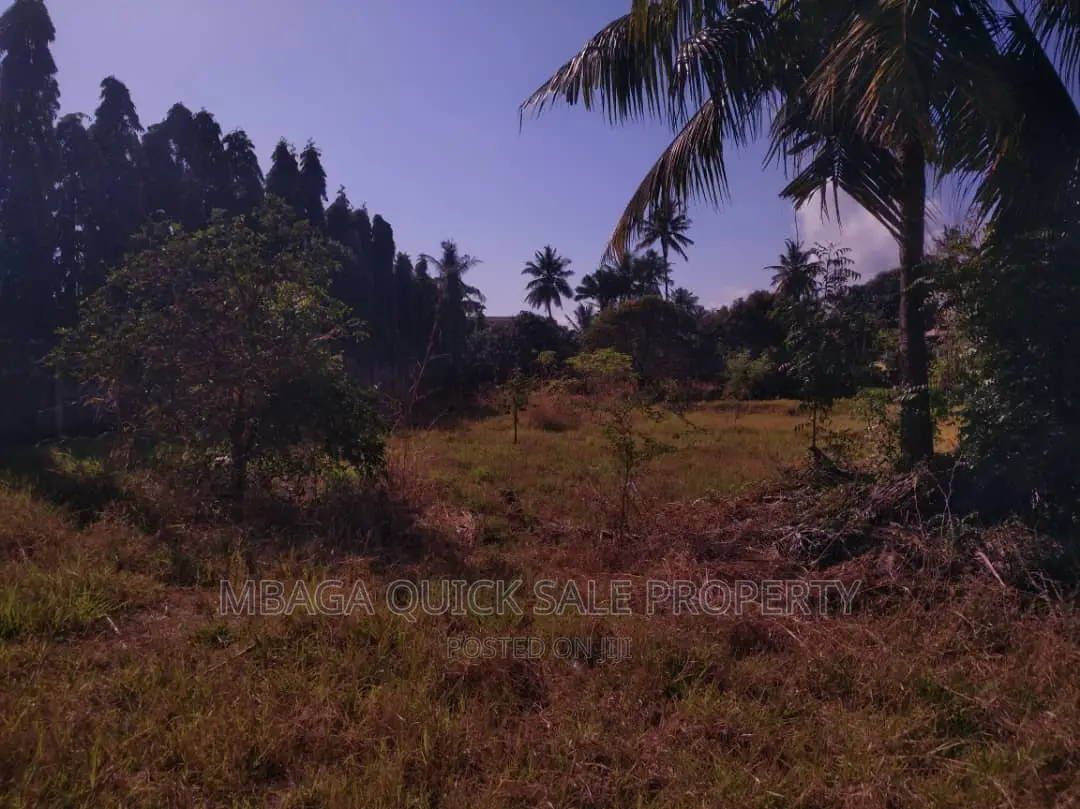 1bdrm House in Mbezi for rent in Mbezi Beach