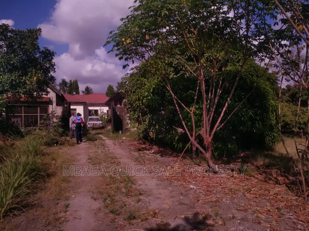1bdrm House in Mbezi for rent in Mbezi Beach