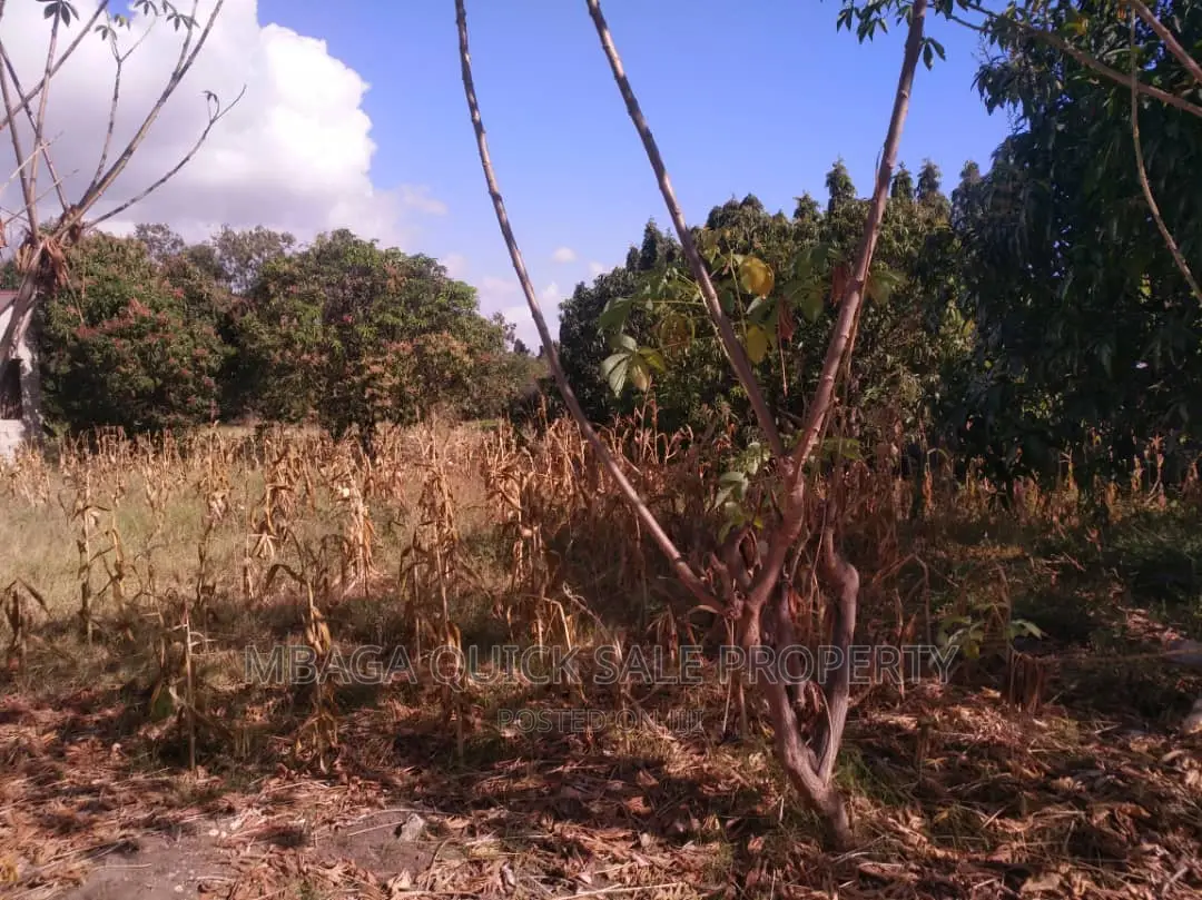 1bdrm House in Mbezi for rent in Mbezi Beach