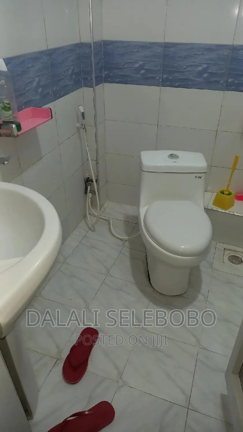 Furnished Mini Flat in Makumbusho, Kinondoni for rent in Kinondoni