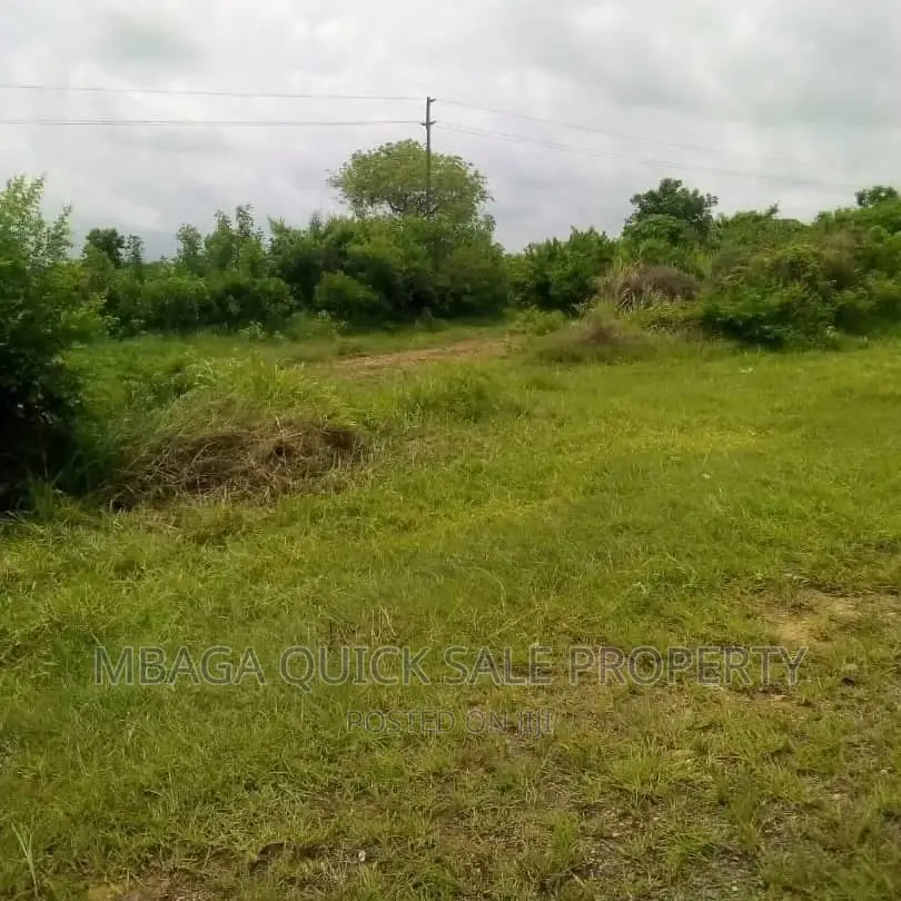 Shamba Kubwa Lenye Heka 50 Linauzwa Kiwangwa in Kiwangwa