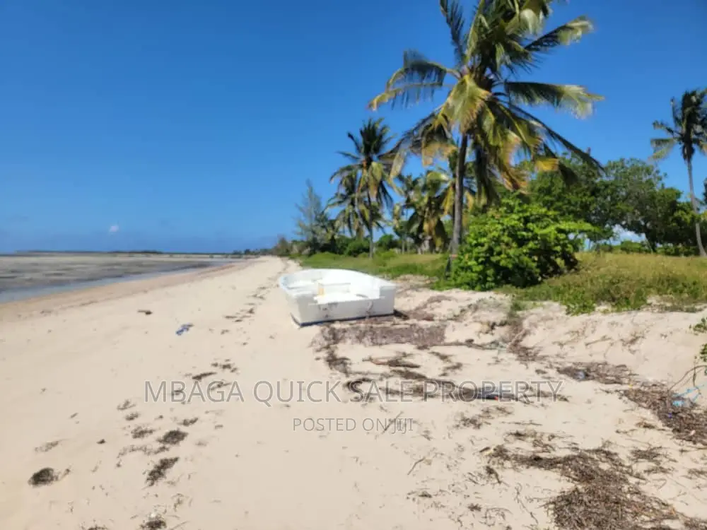 Beach Plot for Sale USD 800,000 at Kilwa Plot With 8 Acres in Masoko