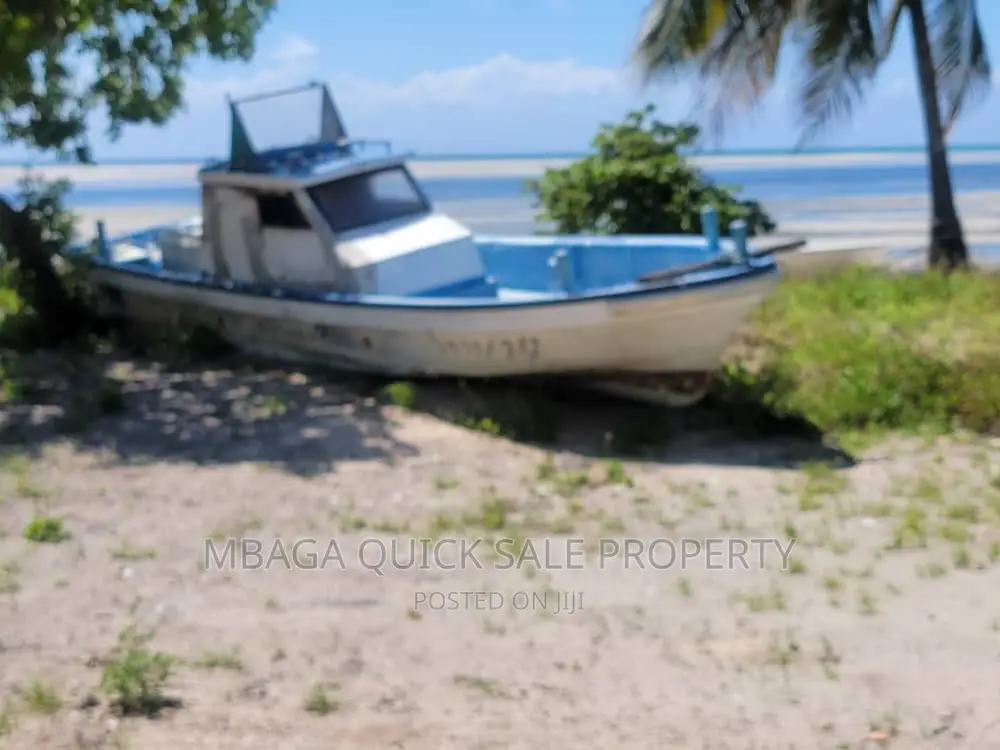 Beach Plot for Sale USD 800,000 at Kilwa Plot With 8 Acres in Masoko