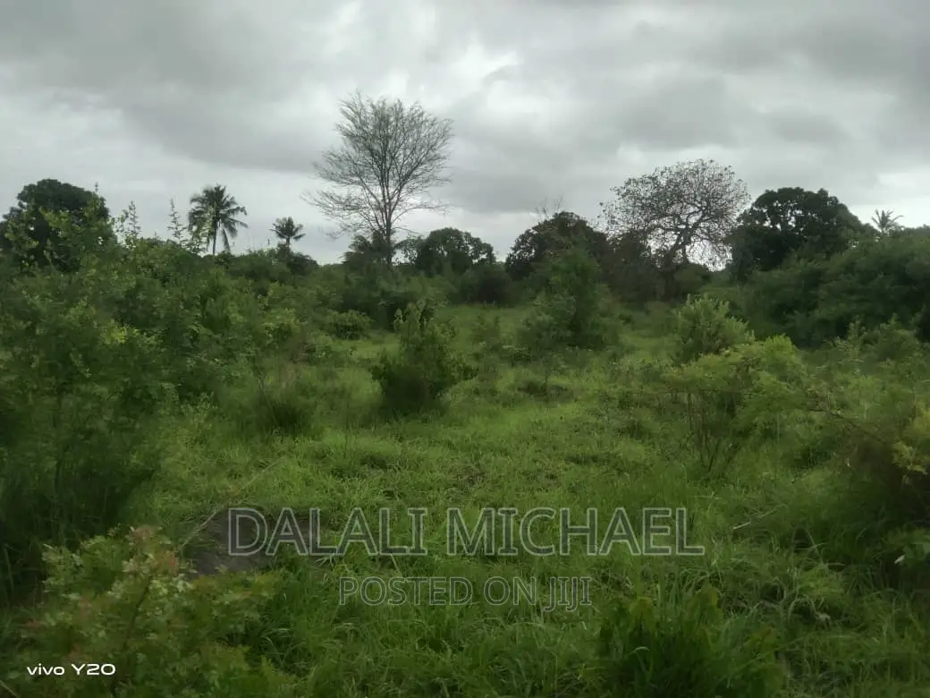 Three Acres for Sale Kiromo in Kiromo