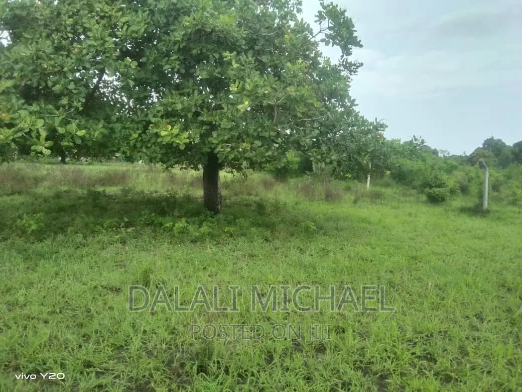 Three Acres for Sale Kiromo in Kiromo