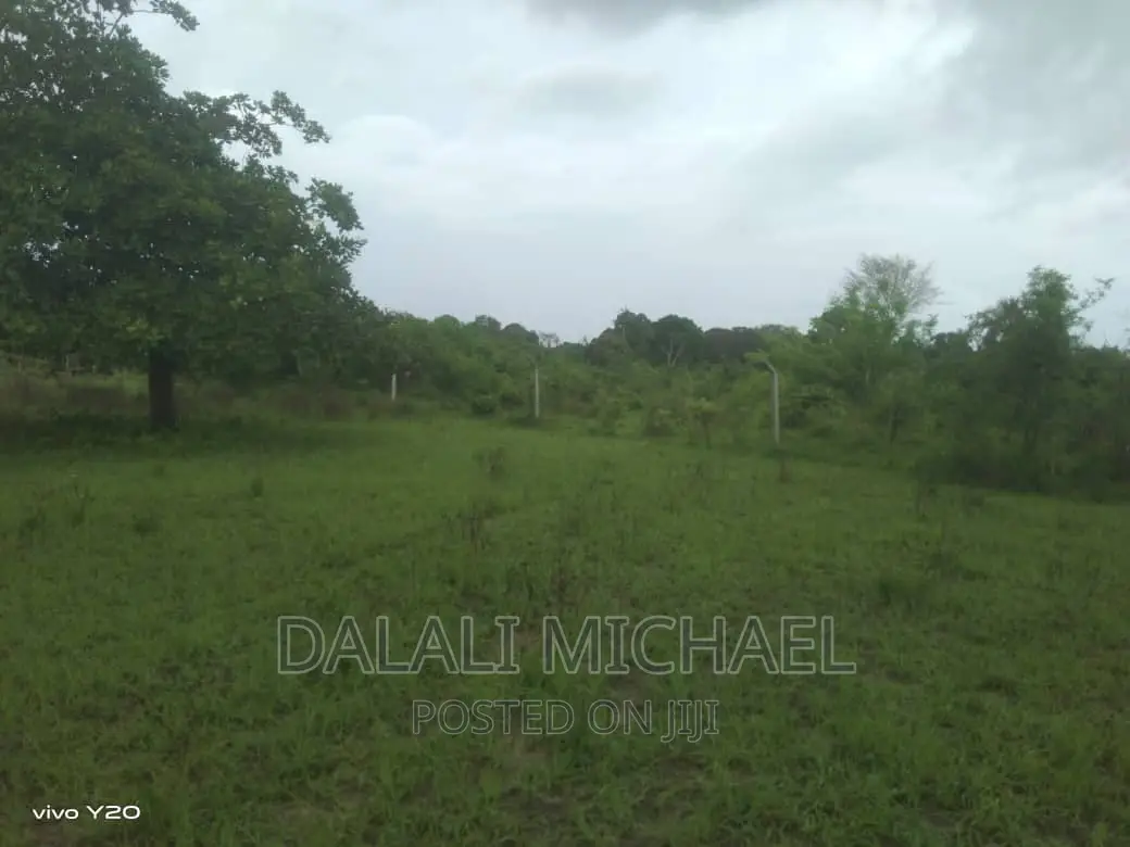Three Acres for Sale Kiromo in Kiromo