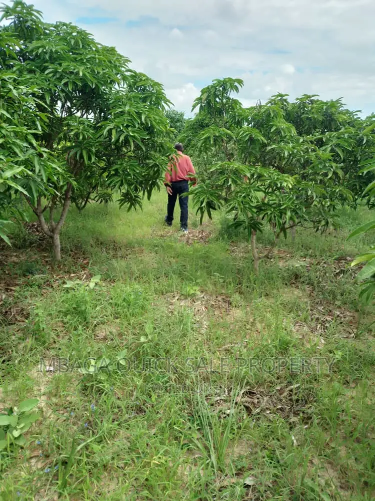 Farm for Sale at Bagamoyo Fukayosi in Kiromo