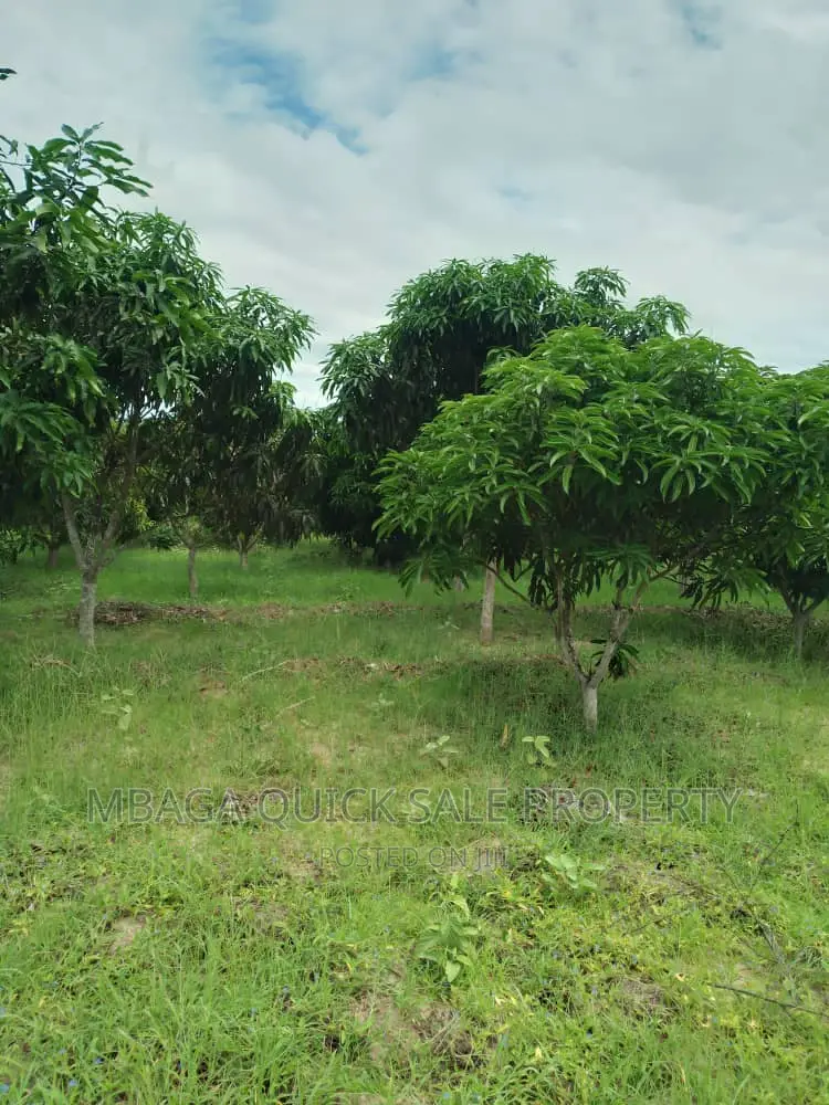 Farm for Sale at Bagamoyo Fukayosi in Kiromo