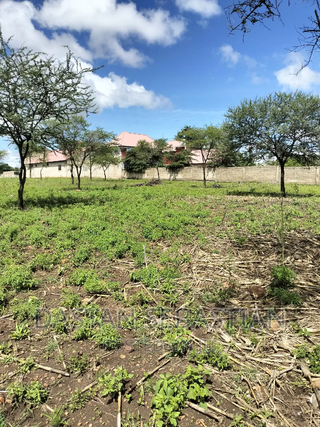 Land for Sale Arusha and Kilimanjaro in Arusha