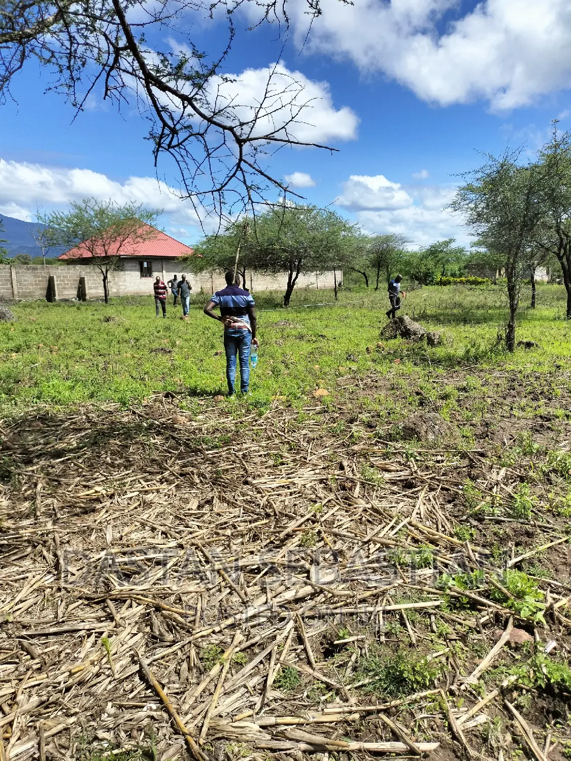Land for Sale Arusha and Kilimanjaro in Arusha