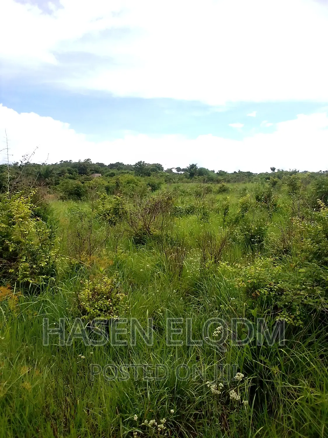 Shamba 2.6 Acre Linakodishwa Farm for Rent in Msanga