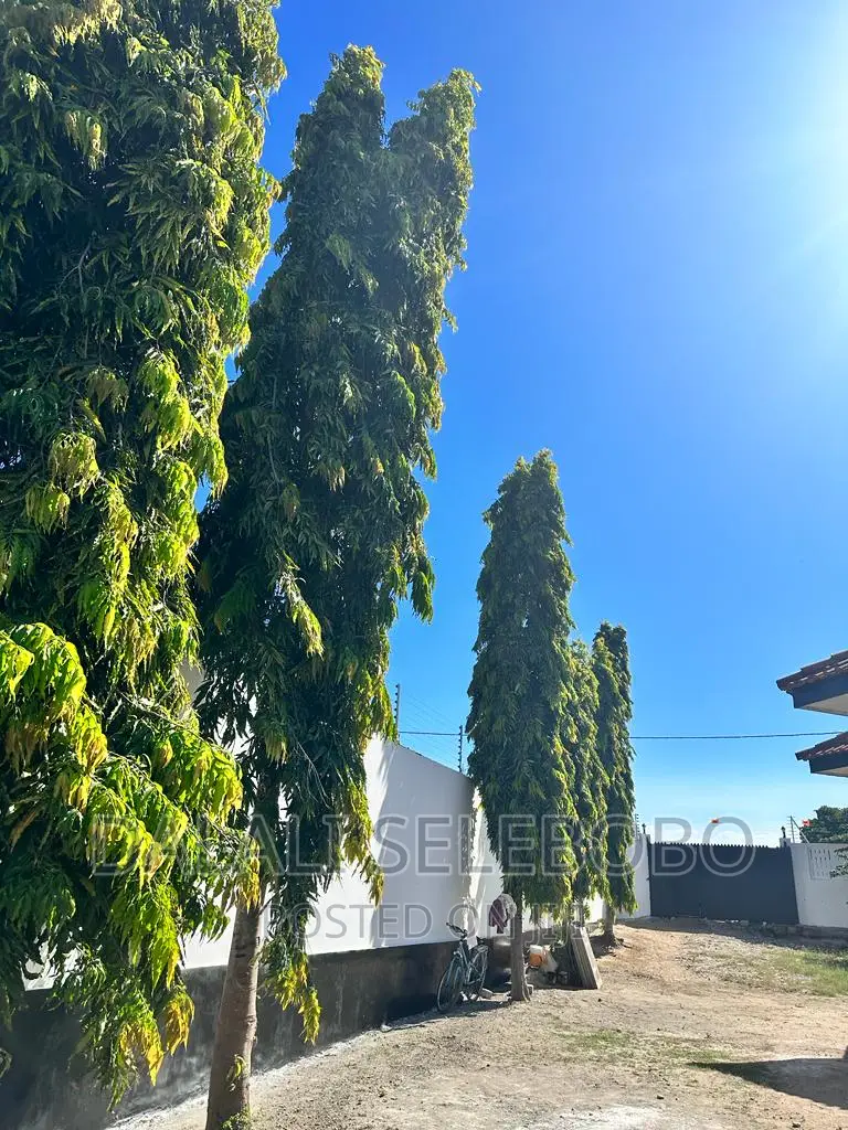 6bdrm Bungalow in Mbweni for rent in Mbweni