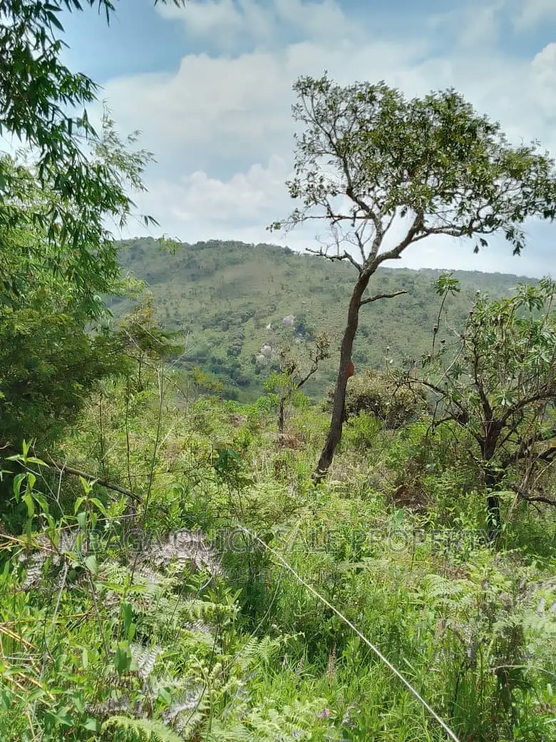 Plot for Sale at Njombe for Avocado Plantation in Lupembe