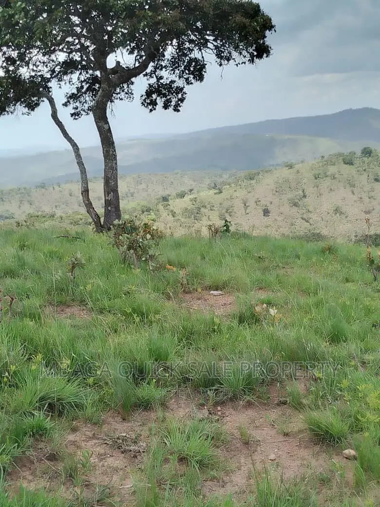 Plot for Sale at Njombe for Avocado Plantation in Lupembe