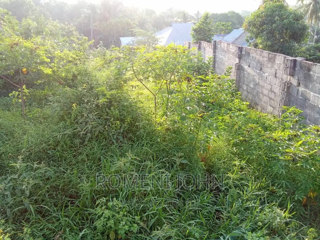 Eneo Sqmita 680 Linauzwa Ml 50 Goba Mbezi Road. in Ilala