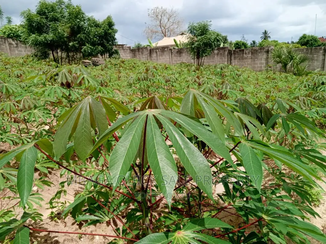 Kiwanja Kinauzwa Kipo Mbezi Kimara in Mbezi