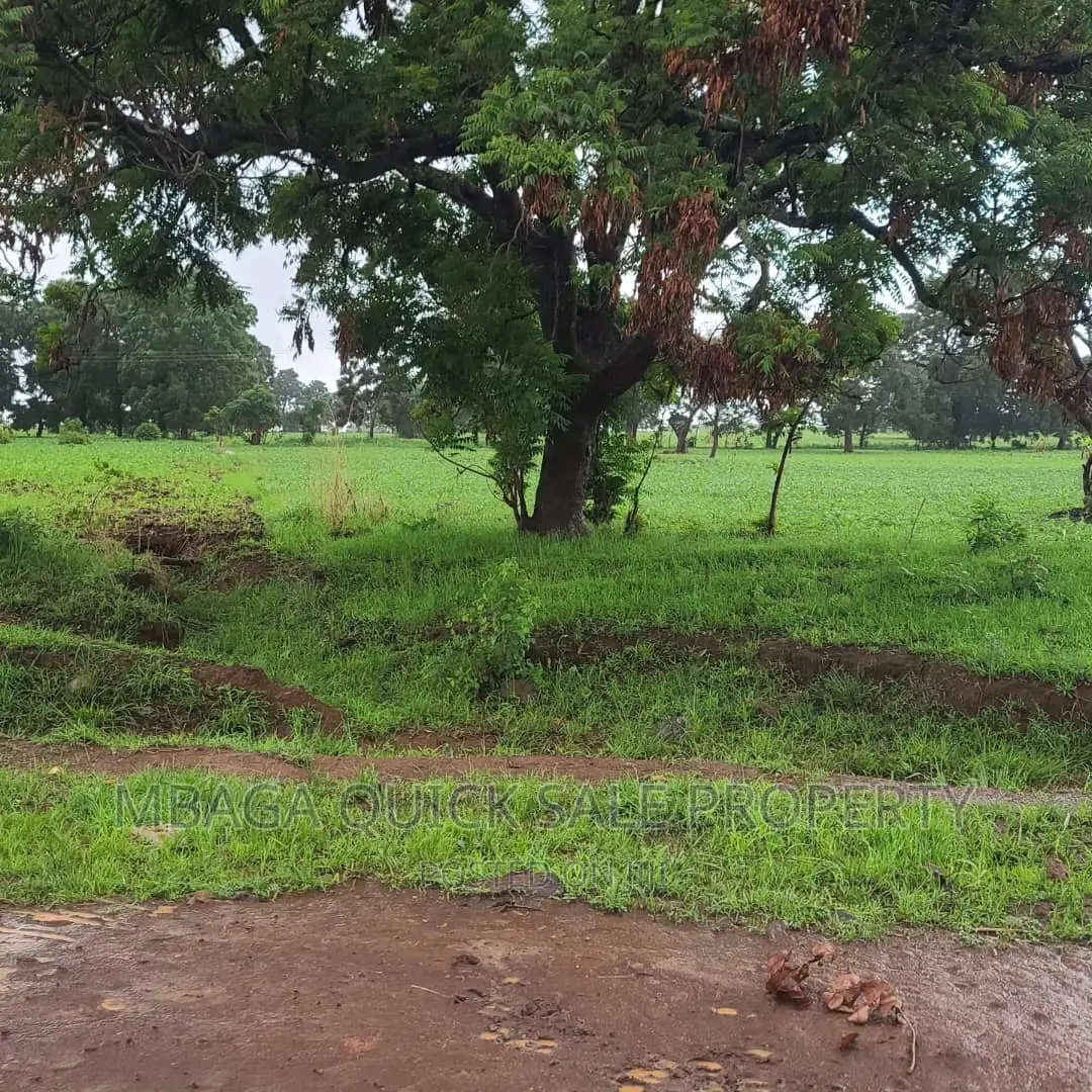 Plot Inauzwa Ipo Tunduma Tanzania in Ijombe