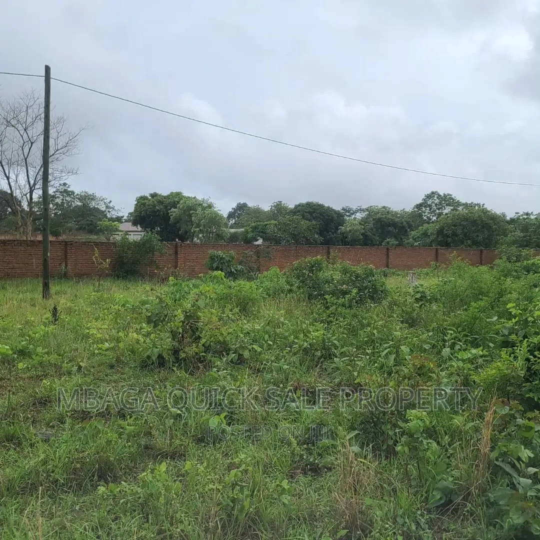 Plot Inauzwa Ipo Tunduma Tanzania in Ijombe