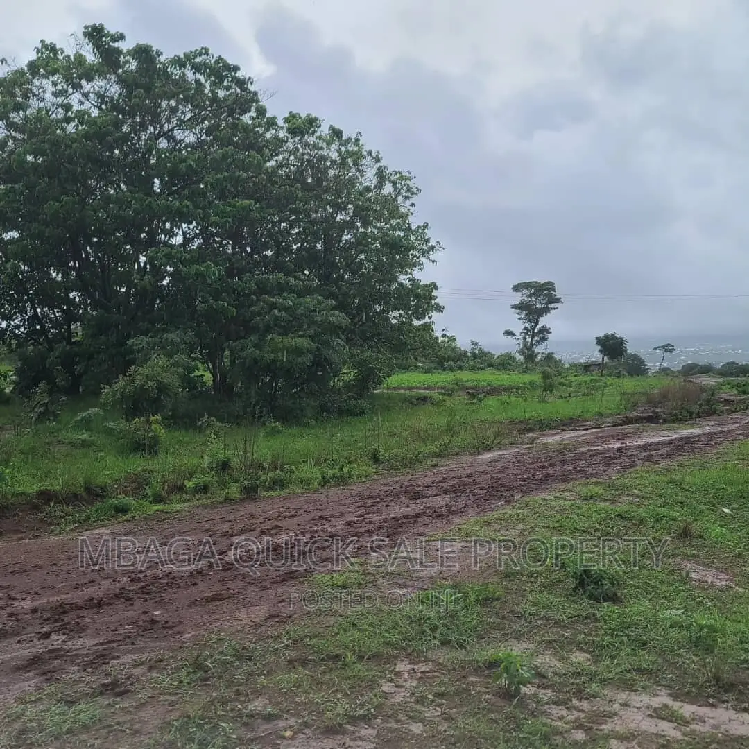 Plot Inauzwa Ipo Tunduma Tanzania in Ijombe