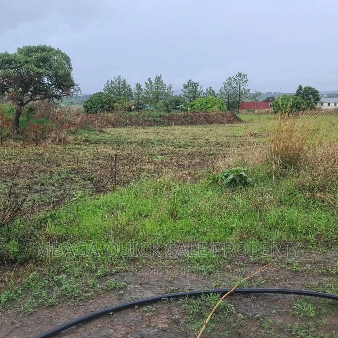 Plot Inauzwa Ipo Tunduma Tanzania in Ijombe