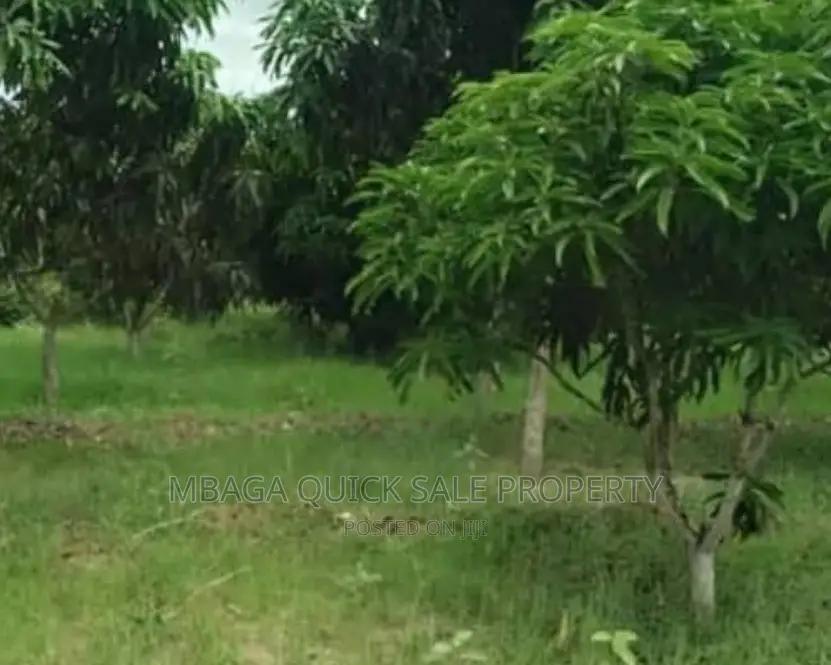Plot Inauzwa Bagamoyo Kerege in Kiromo