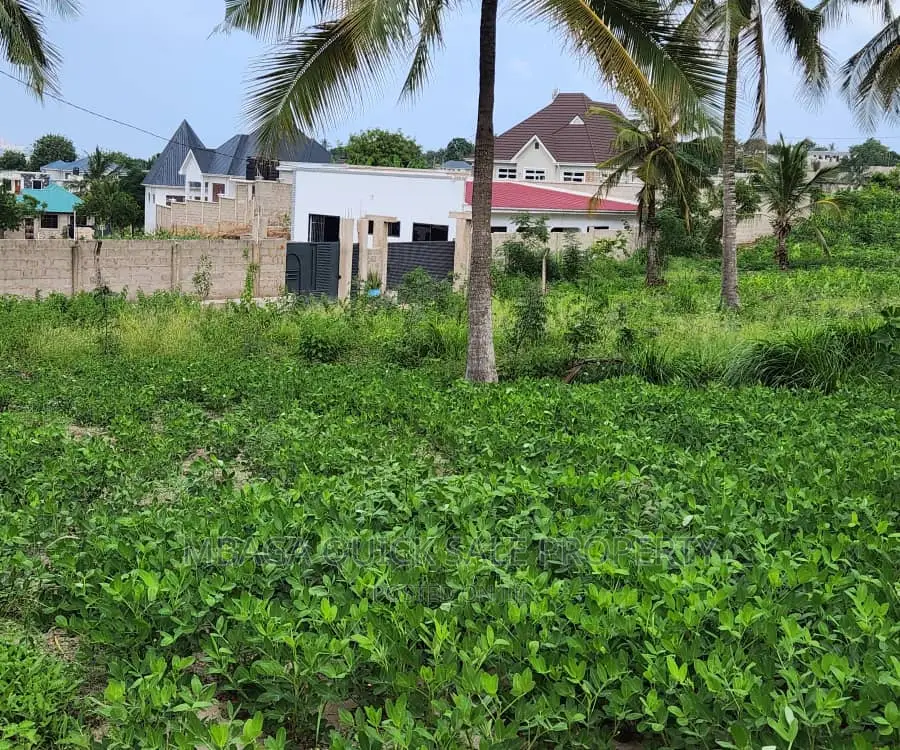 Big Plot for Sale at Goba Kulangwa in Goba