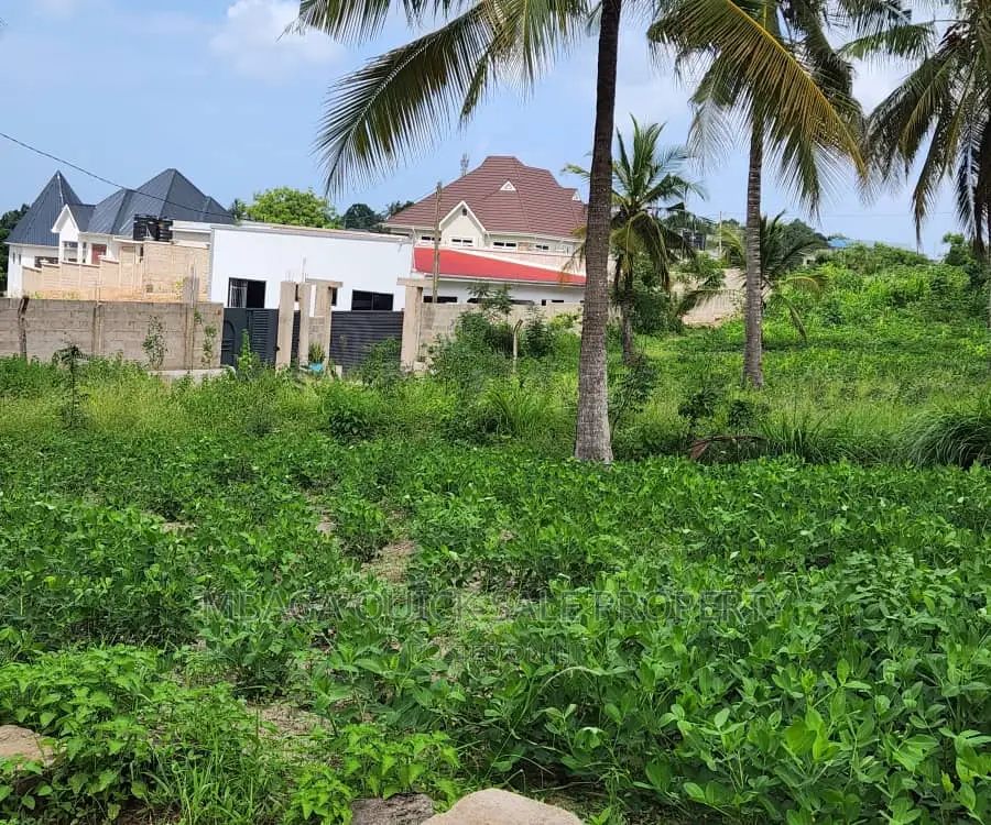 Big Plot for Sale at Goba Kulangwa in Goba