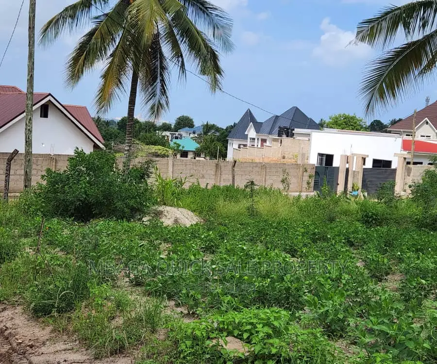 Big Plot for Sale at Goba Kulangwa in Goba