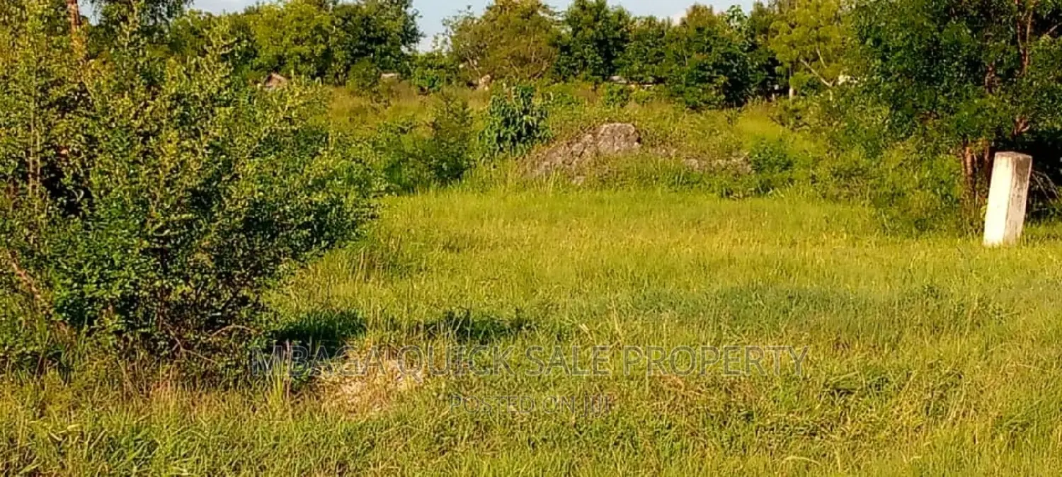 Big Plot for Sale Along the Main Road at Chalinze With 3 Acr in Chalinze