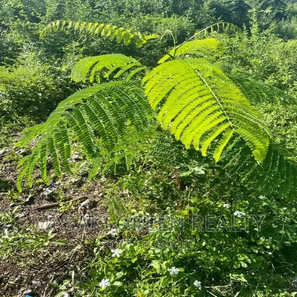 Plot for Sale at Pongwe Zanzibar in Unguja South