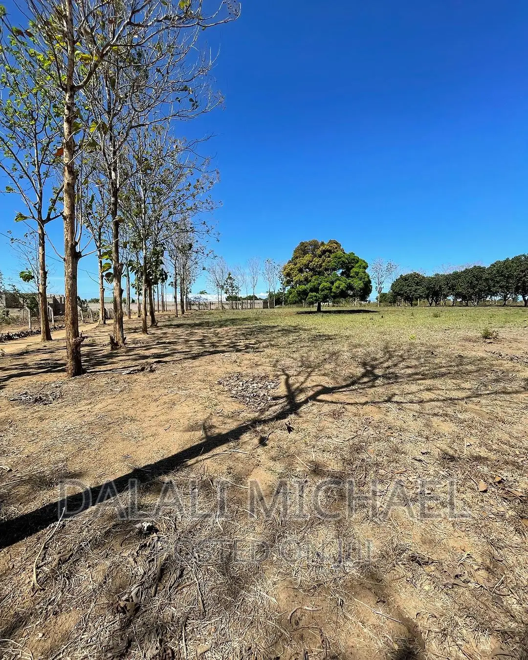 Six Acres for Sale Mapinga in Bagamoyo