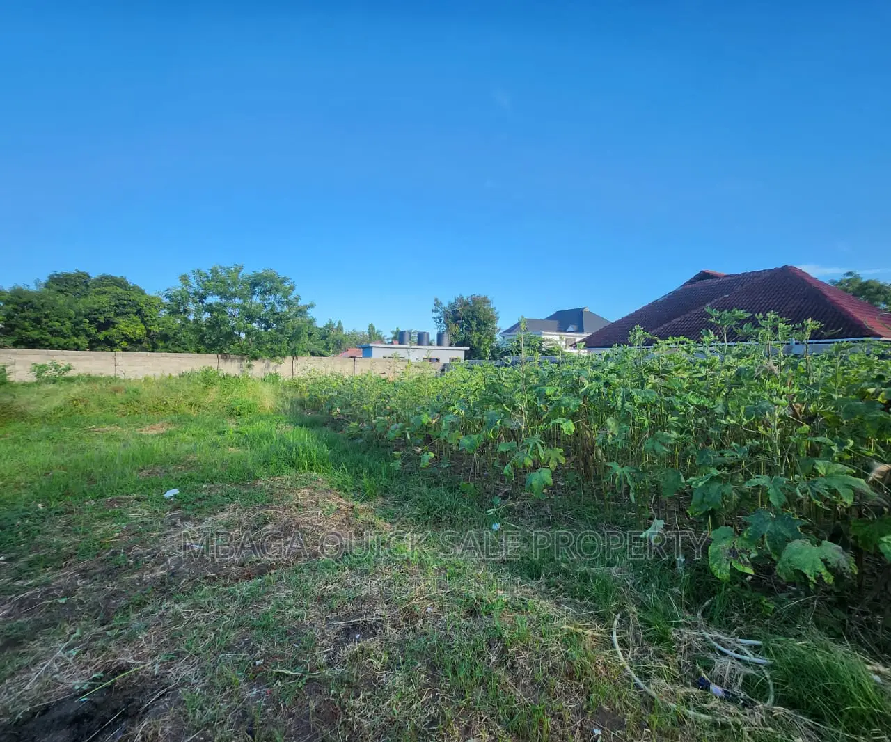 Big Plot for Sale at Salasala Good Location in Mbezi
